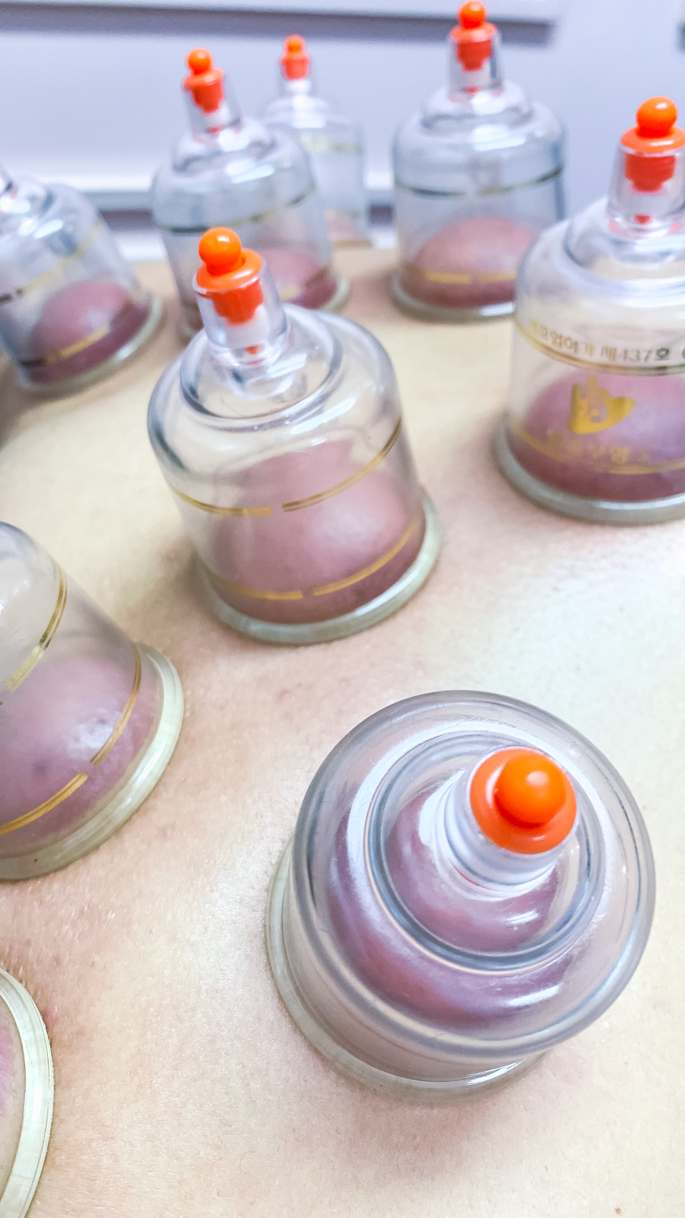 Detalhe do espaço com plantas e iluminação suave.